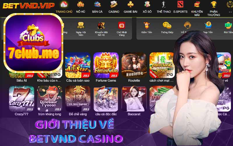 Giới thiệu về Betvnd Casino
